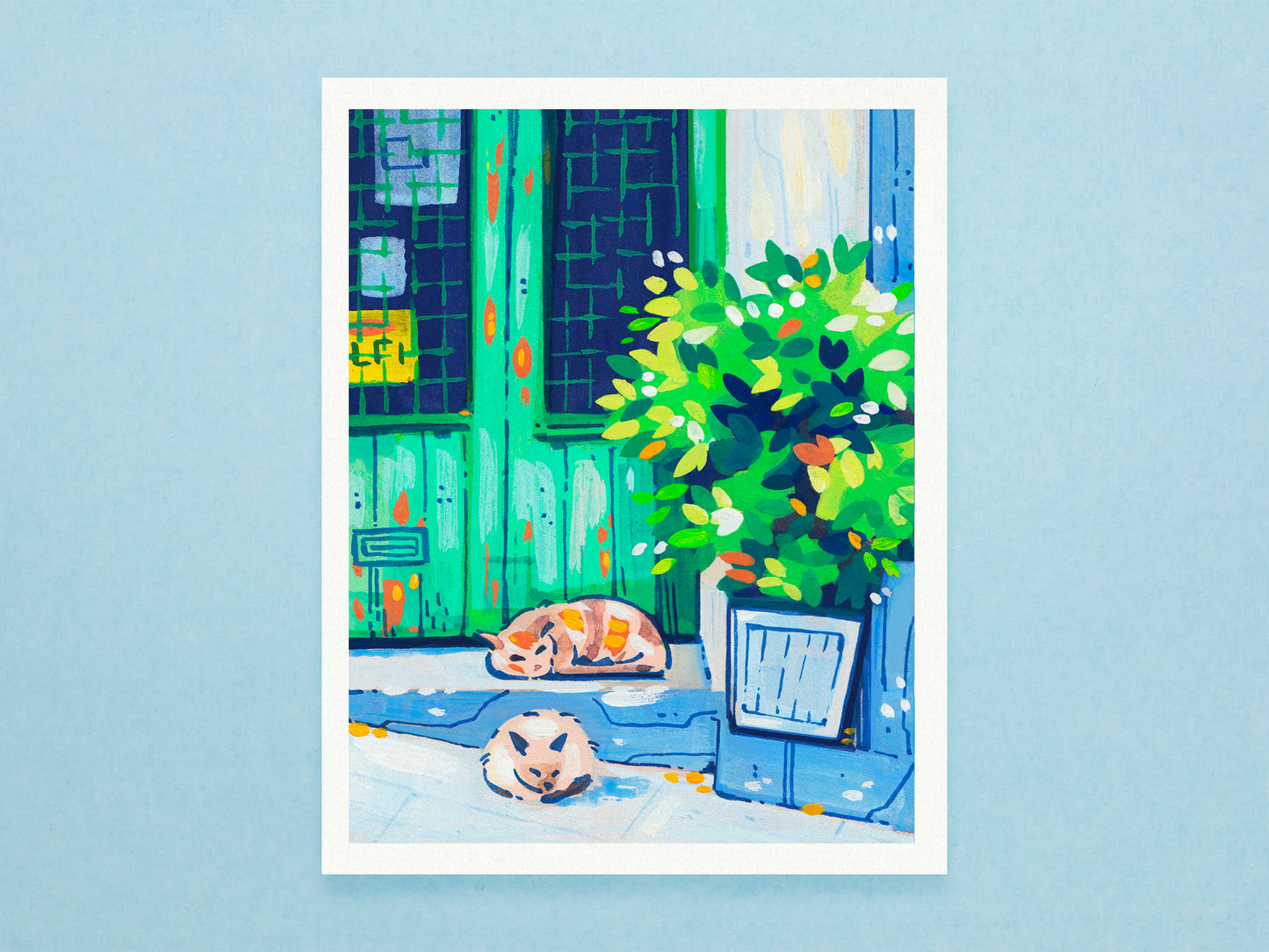 Cat Nap