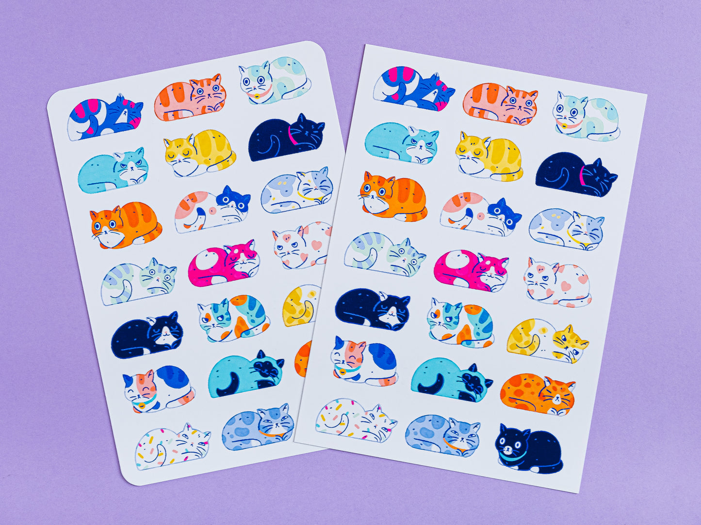 Cats Print